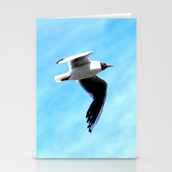 Flying  Stationery Cards