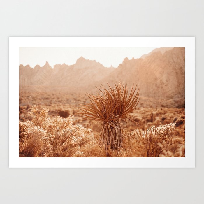 Yucca in Her Rose-Gold World Art Print