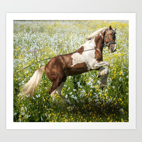 Gypsy Meadow Art Print