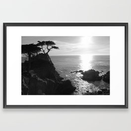 Cypress Framed Art Print