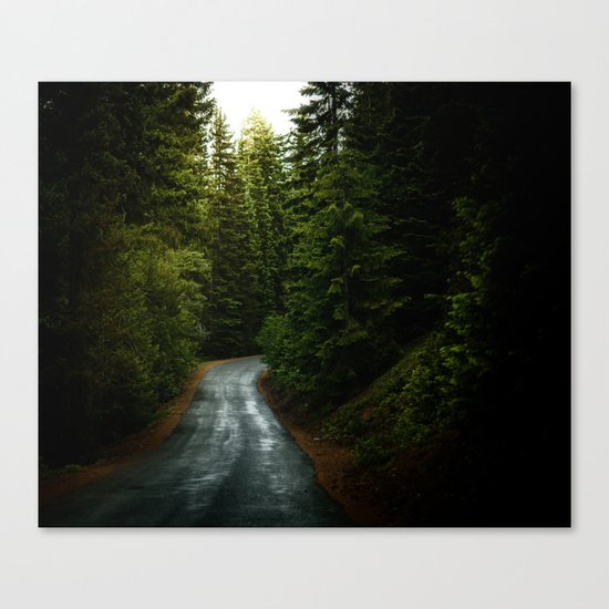 dream road Canvas Print