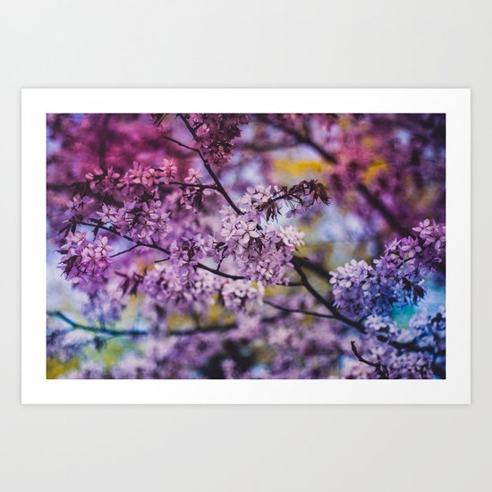 Spring Bloom Art Print