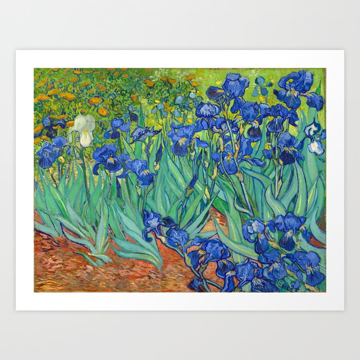 Vincent Van Gogh Irises Painting Art Print