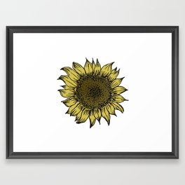 Vintage Sunflower Illustration Framed Art Print