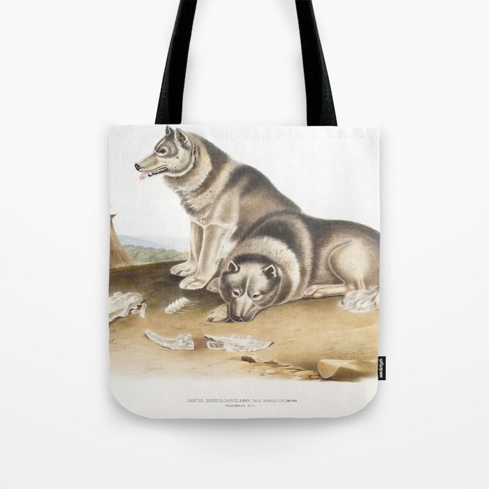 Esquimaux Dog of North America (1845) illustrated by john james audubon Tote Bag