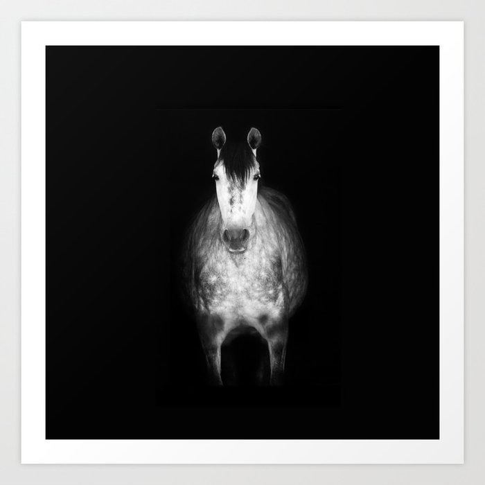 Horse in the dark Art Print