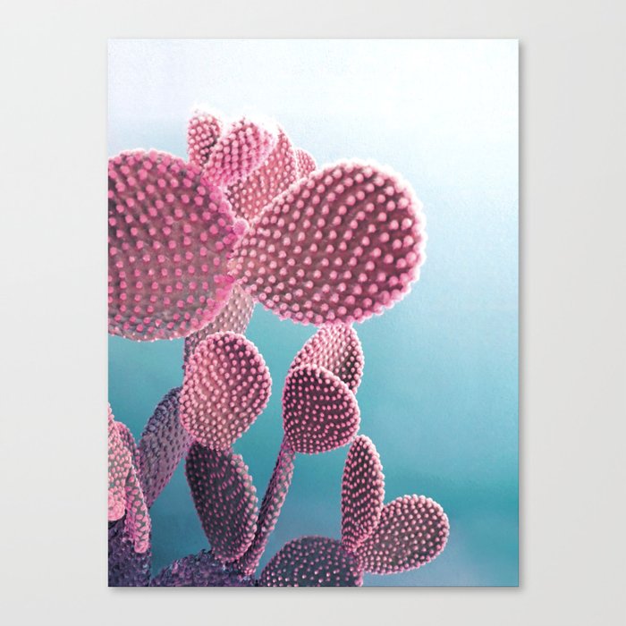 Candy Cactus Canvas Print