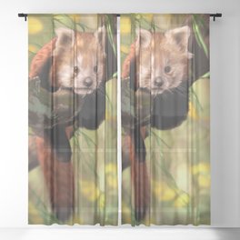 Red Panda Sheer Curtain