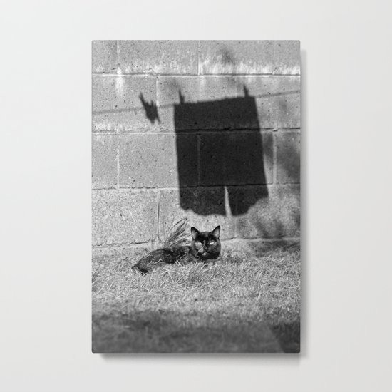 The cat and the pants Metal Print