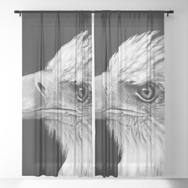 American bald eagle nature animal kingdom portrait black and white photograph - photography - photographs Sheer Curtain