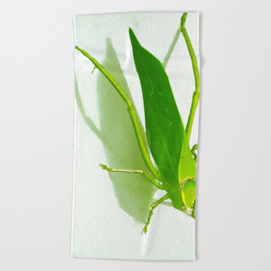 Kadydid Beach Towel