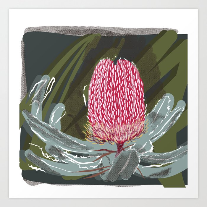Red Banksia Art Print By Dranged Society6