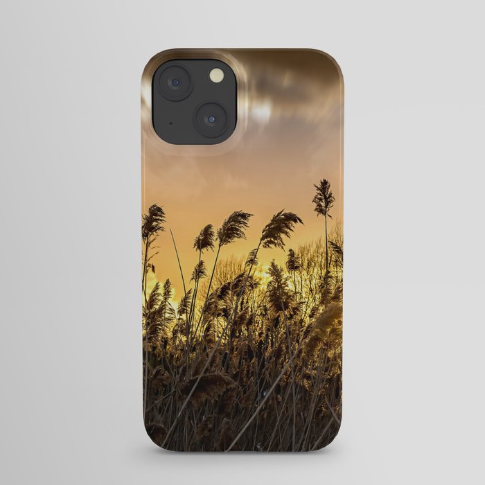 Flowers at sunset in Tuscany iPhone Case