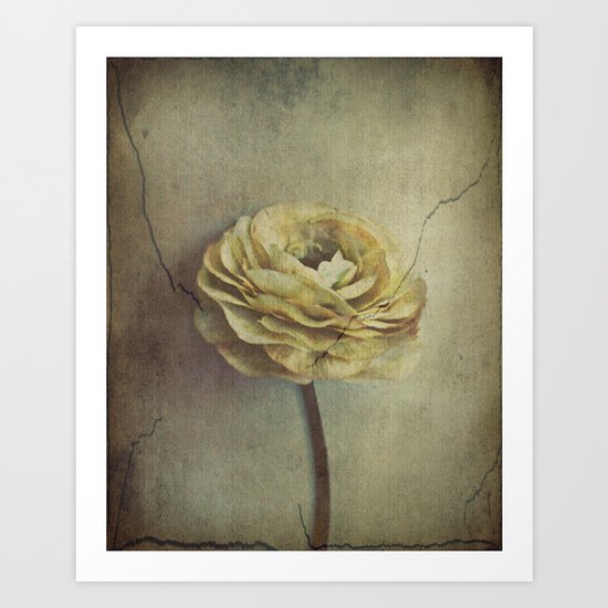 Vintage Blossoms Art Print