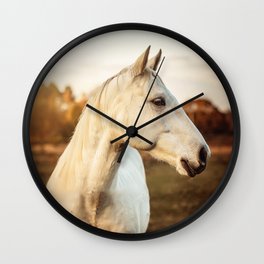 White Horse - Farmhouse - Equine -Photograph Wall Clock