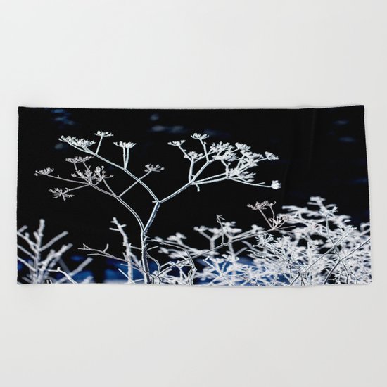 Frosted plant at cold winter day on black background Beach Towel