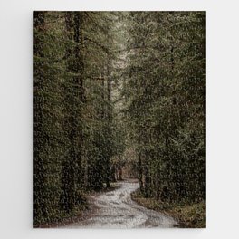 Rainforest Road Jigsaw Puzzle