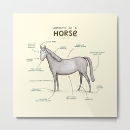 Anatomy of a Horse Metal Print | Mare, Ponies, Drawing, Anatomical, Scientific, Illustration, Dapplegrey, Farm, Horses, Meme 