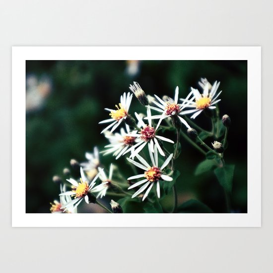 Soft Art Print
