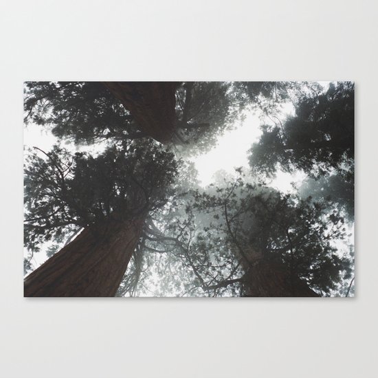 Dont look up Canvas Print