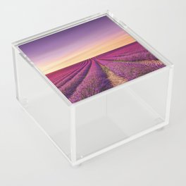 Lavender flowers field in bloom. Provence Acrylic Box