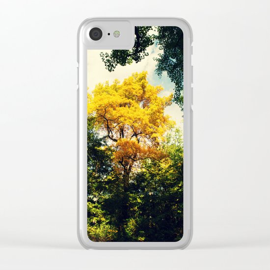 fall in Central Park Clear iPhone Case