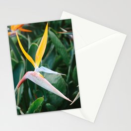 Bird of Paradise Stationery Cards