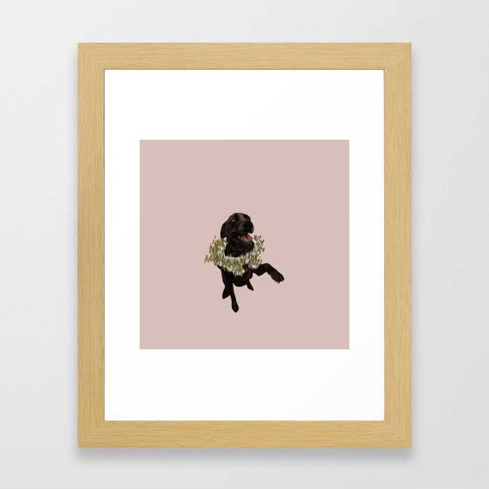 Lincoln the Lab in Pink Framed Art Print