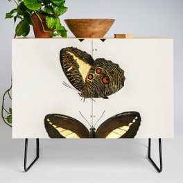 Different Types of Butterfly Credenza