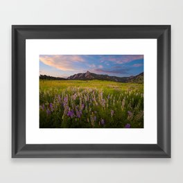 Boulder In Bloom Framed Art Print