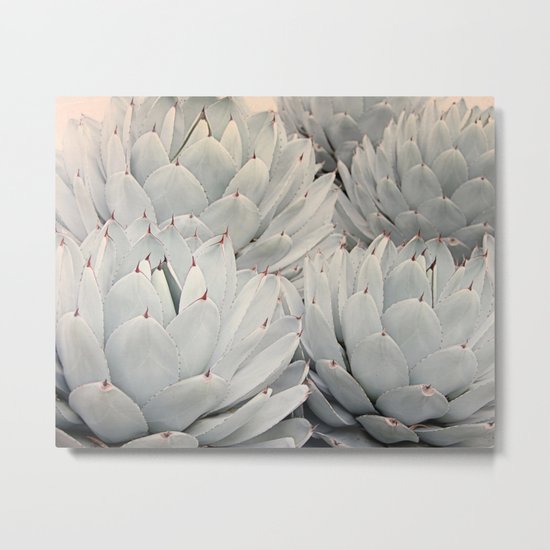 Succulent Blush Metal Print