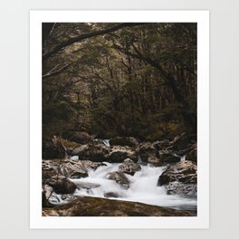 Routeburn Track Waterfalls // Otago NZ Photography Art Print Art Print