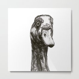 Egyptian Goose Metal Print | Bird, Gooseart, Black and White, Egyptiangoose, Art, Traditionaldrawing, Goofy, Goose, Drawing, Graphite 