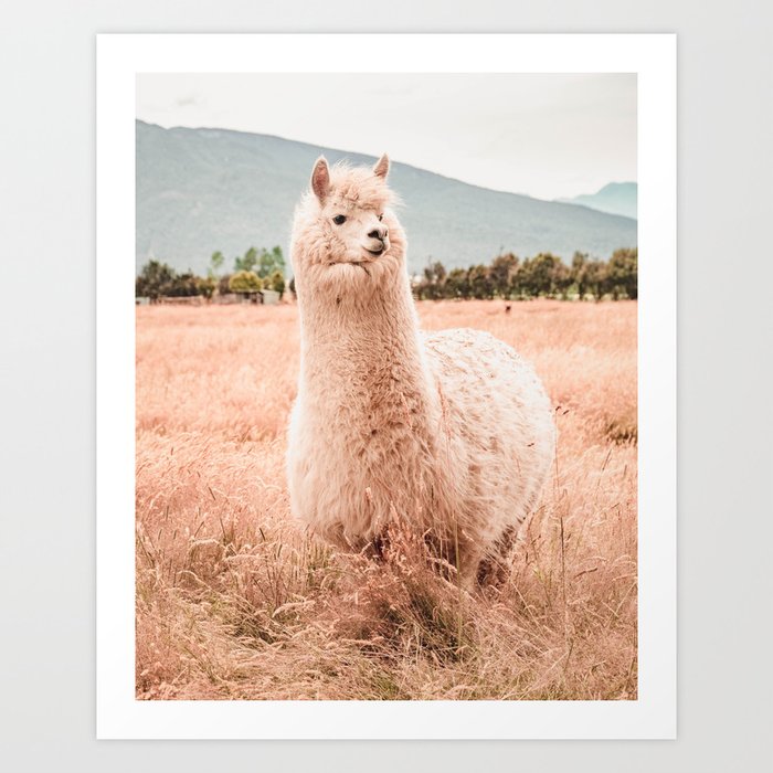 Art Print