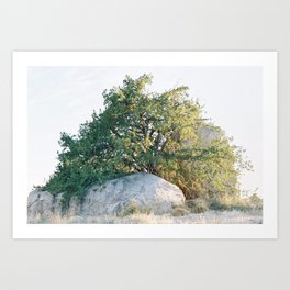 Tree Print Art Print