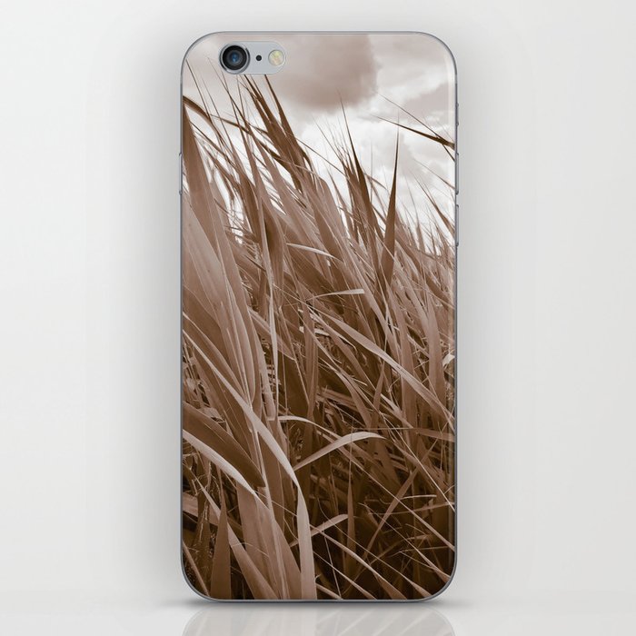 Sepia monochrome cattail field iPhone Skin