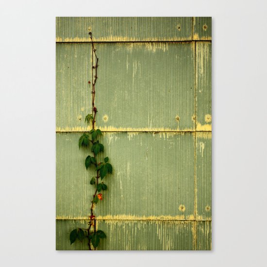 On The Rise Canvas Print
