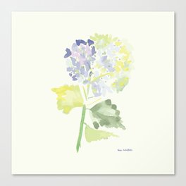 Watercolor Hydrangea Canvas Print