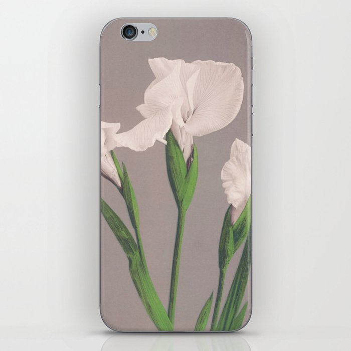 White Iris iPhone Skin