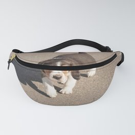 Two Months Old Beagle Puppy Dog 66 Fanny Pack