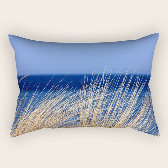 blue Rectangular Pillow