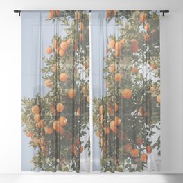 Mediterranean Oranges Sheer Curtain