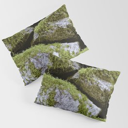 Moss, Rocks, Moss Pillow Sham