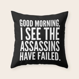 funny pillow covers