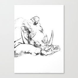 Rhino Canvas Print