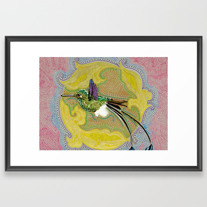 Booted Racket-Tail Framed Art Print