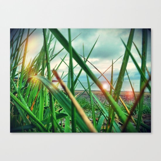 Morning.. Canvas Print