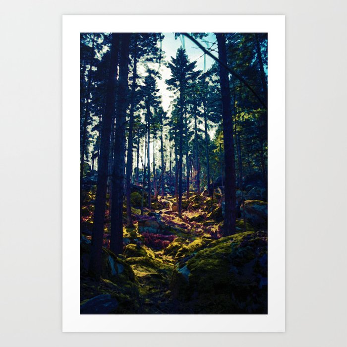 Alpine Forest In Fontainebleau France 2 Art Print By Asarstudios