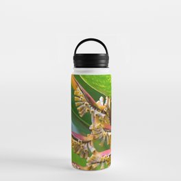 Beautiful Helicon Flower With Tropical Leaves Water Bottle