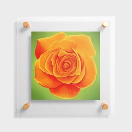 Orange Rose Drawing Floating Acrylic Print